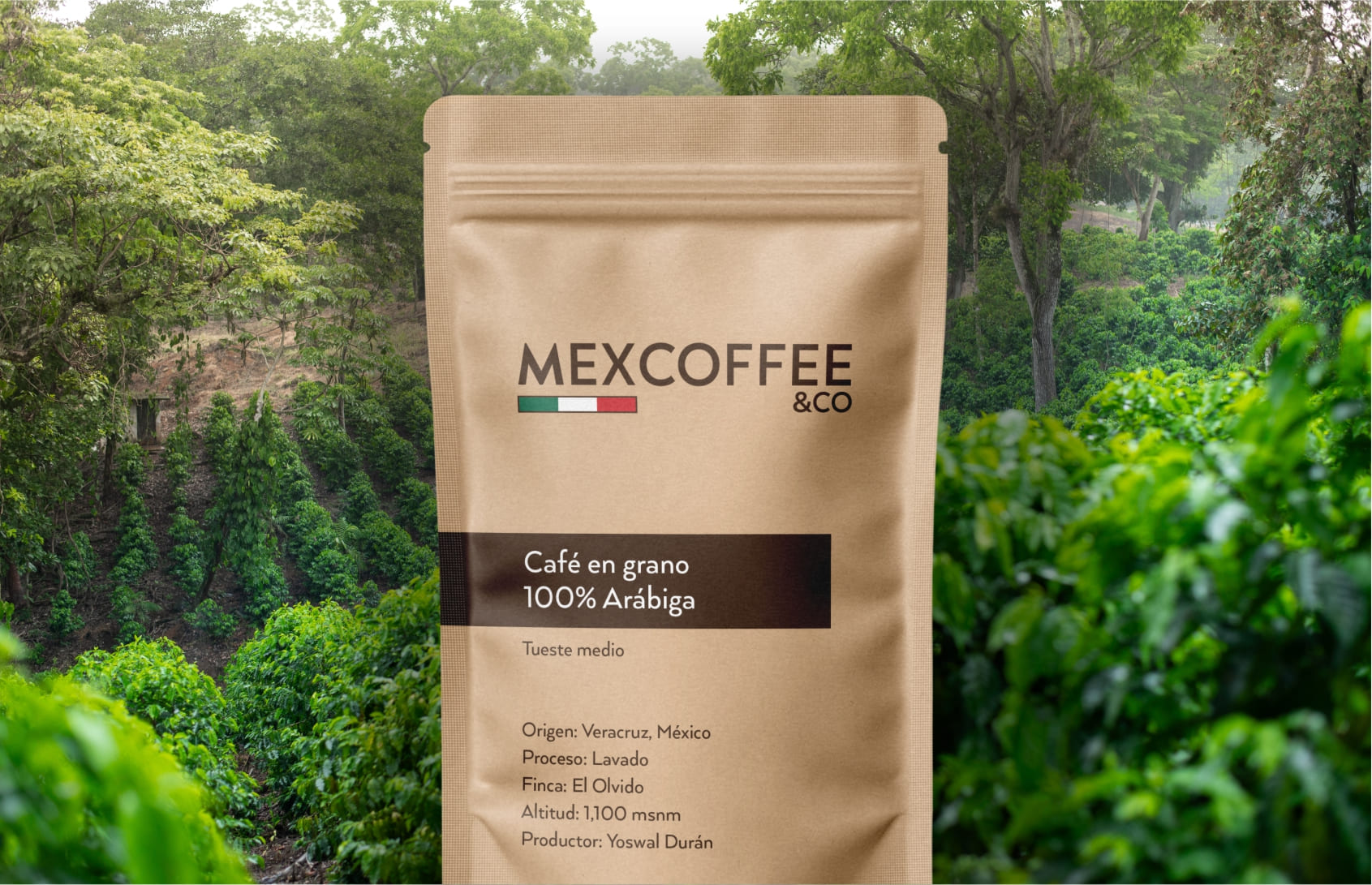 Café Molido Gourmet